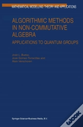 Algorithmic Methods In Non-Commutative Algebra