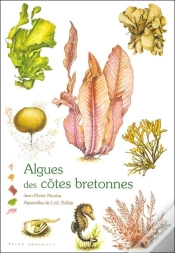 Capa do artigo Algues Des Côtes Bretonnes