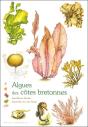Algues Des Côtes Bretonnes - Preview