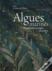 Algues Marines ; Propriétés, Usages, Recettes