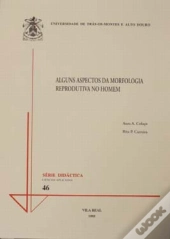 Alguns Aspectos da Morfologia Reprodutiva no Homem 