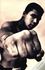 Capa do artigo Ali A Life Pa