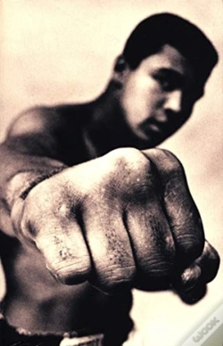 Capa do artigo Ali A Life Pa