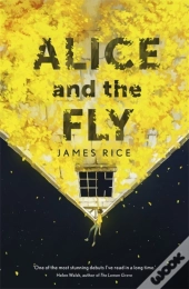 Alice And The Fly