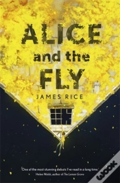 Capa do artigo Alice And The Fly