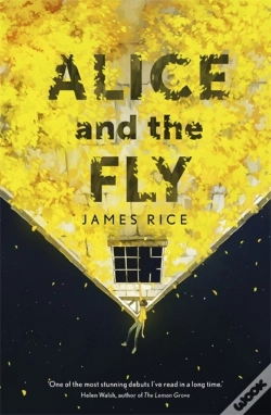 Capa do artigo Alice And The Fly