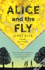 Capa do artigo Alice And The Fly