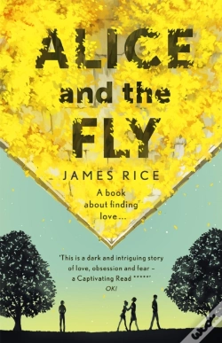 Capa do artigo Alice And The Fly