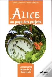 Alice Au Pays Des Projets