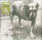 Alice in Chains (30th Anniversary) - Vinil - Preview
