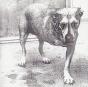 Alice In Chains - CD - Preview