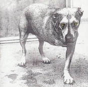 Capa do artigo Alice In Chains - CD
