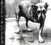 Capa do artigo Alice In Chains - CD