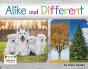 Alike And Different - Preview