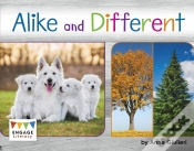 Capa do artigo Alike And Different