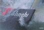 Alinghi - Preview