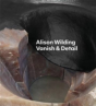 Alison Wilding - Preview