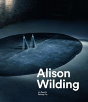 Alison Wilding - Preview