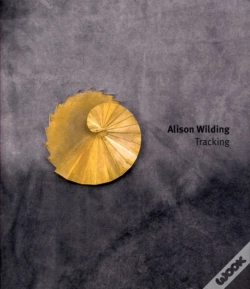 Capa do artigo Alison Wilding