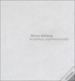 Capa do artigo Alison Wilding