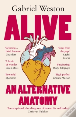 Capa do artigo Alive