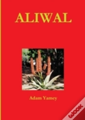 Capa do artigo Aliwal