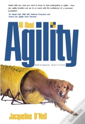 Capa do artigo All About Agility