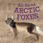 All About Arctic Foxes - Preview
