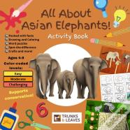 All About Asian Elephants