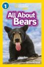 All About Bears - Preview