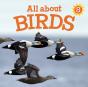 All About Birds - Preview