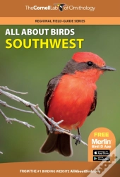 All About Birds Southwest
