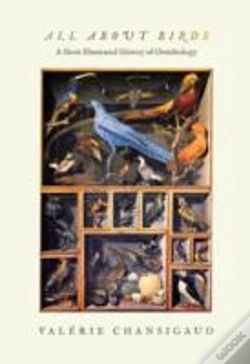 Capa do artigo All About Birds