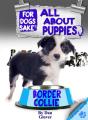 All About Border Collie Puppies - Preview
