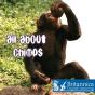 All About Chimps - Preview