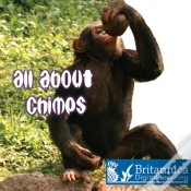 Capa do artigo All About Chimps