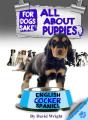 All About English Cocker Spaniel Puppies - Preview