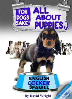 Capa do artigo All About English Cocker Spaniel Puppies