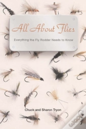 All About Flies