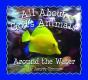 All About God`S Animalsâ€“Around The Water - Preview