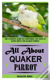 All About Quaker Parrot