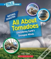 All About Tornadoes (Library Edition)
