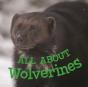 All About Wolverines - Preview
