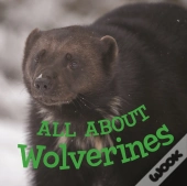 All About Wolverines