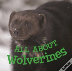 Capa do artigo All About Wolverines