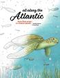 All Along The Atlantic: From Open Ocean - Preview