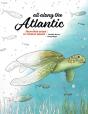 All Along The Atlantic: From Open Ocean - Preview