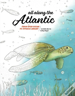 Capa do artigo All Along The Atlantic: From Open Ocean