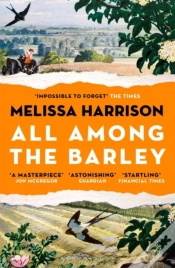 Capa do artigo All Among The Barley