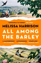 Capa do artigo All Among The Barley